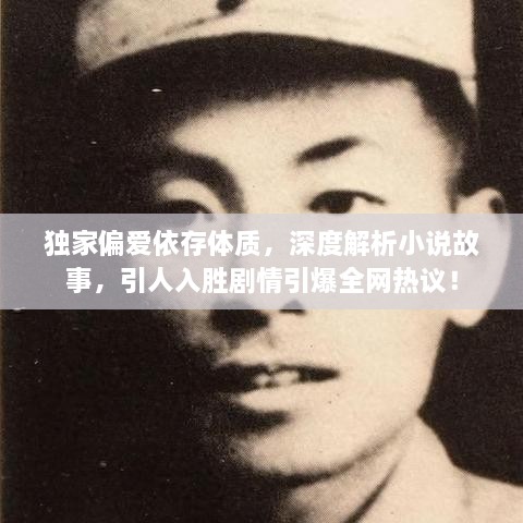 獨家偏愛依存體質(zhì)，深度解析小說故事，引人入勝劇情引爆全網(wǎng)熱議！