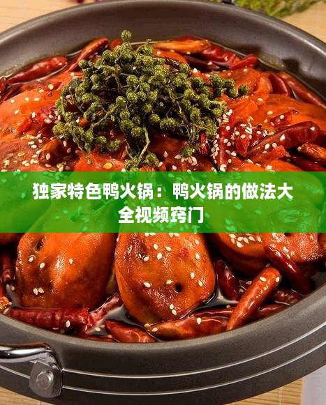 獨(dú)家特色鴨火鍋：鴨火鍋的做法大全視頻竅門 