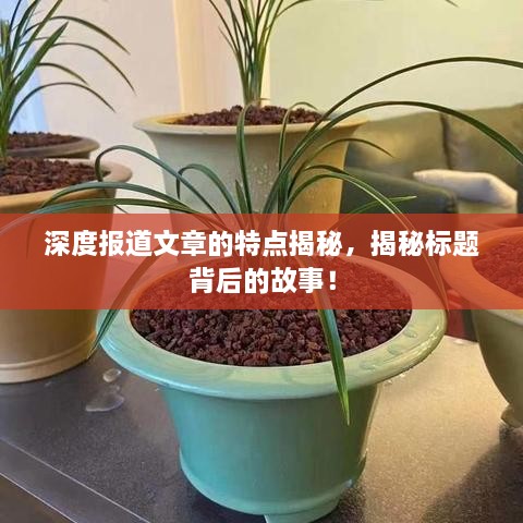 深度報道文章的特點揭秘，揭秘標(biāo)題背后的故事！