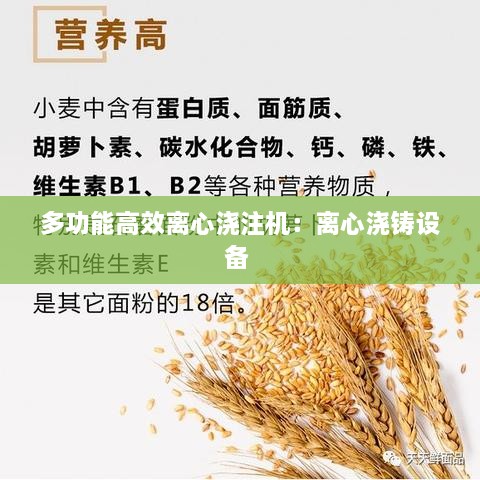 多功能高效離心澆注機(jī)：離心澆鑄設(shè)備 