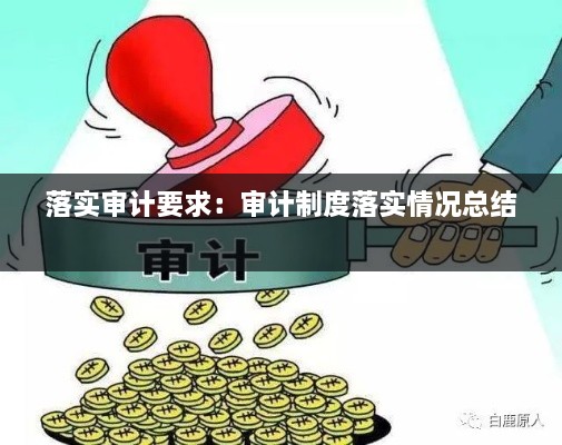 落實審計要求：審計制度落實情況總結(jié) 