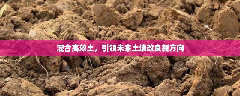 混合高效土，引領(lǐng)未來(lái)土壤改良新方向