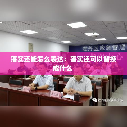 落實還能怎么表達：落實還可以替換成什么 