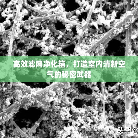 高效濾網(wǎng)凈化箱，打造室內(nèi)清新空氣的秘密武器