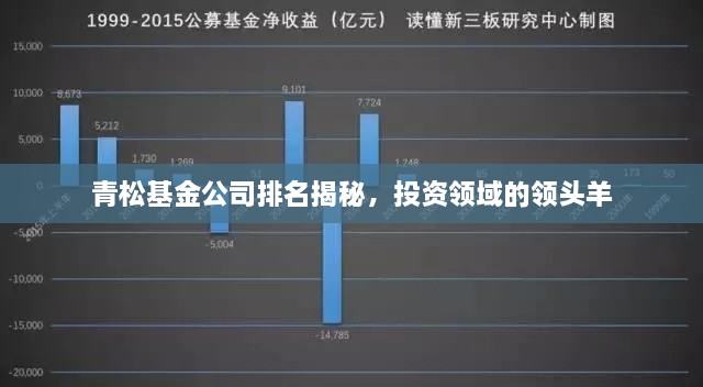 青松基金公司排名揭秘，投資領(lǐng)域的領(lǐng)頭羊