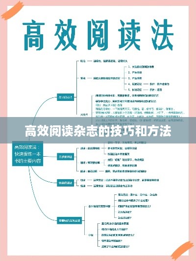 高效閱讀雜志的技巧和方法