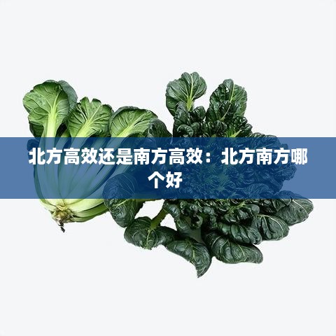 北方高效還是南方高效：北方南方哪個好 