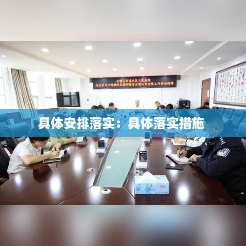 具體安排落實：具體落實措施 