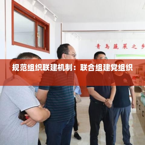 規(guī)范組織聯(lián)建機(jī)制：聯(lián)合組建黨組織 