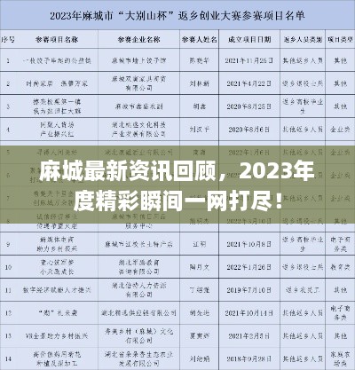 麻城最新資訊回顧，2023年度精彩瞬間一網(wǎng)打盡！