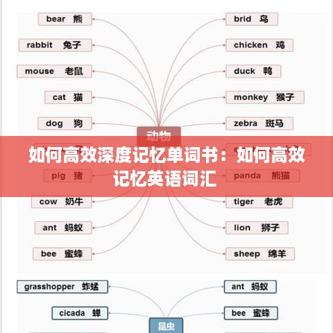 如何高效深度記憶單詞書：如何高效記憶英語詞匯 