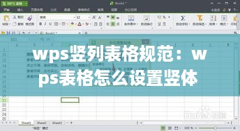 wps豎列表格規(guī)范：wps表格怎么設(shè)置豎體 