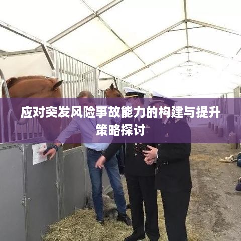 應對突發(fā)風險事故能力的構建與提升策略探討