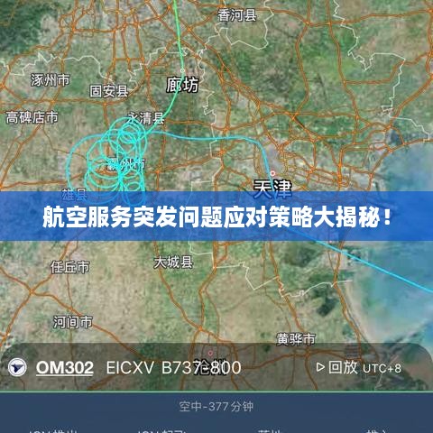 航空服務(wù)突發(fā)問題應(yīng)對(duì)策略大揭秘！