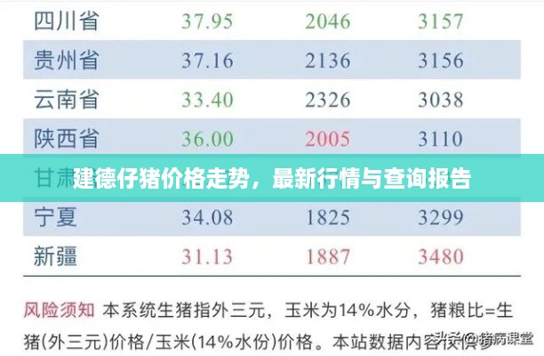 建德仔豬價(jià)格走勢(shì)，最新行情與查詢報(bào)告