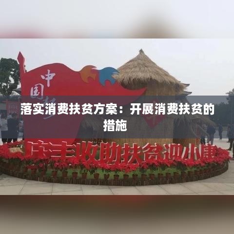 落實消費扶貧方案：開展消費扶貧的措施 