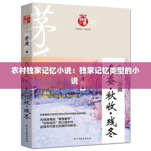 農(nóng)村獨(dú)家記憶小說：獨(dú)家記憶類型的小說 