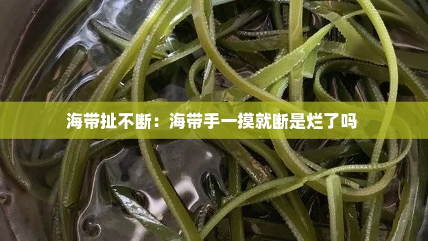 海帶扯不斷：海帶手一摸就斷是爛了嗎 