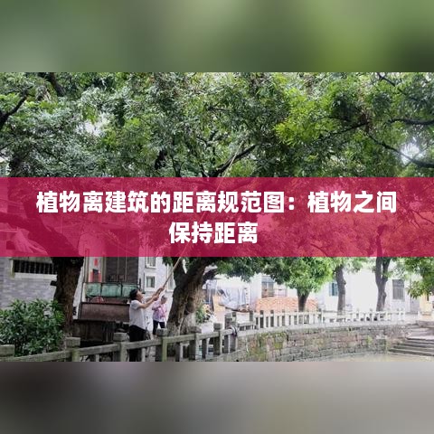 植物離建筑的距離規(guī)范圖：植物之間保持距離 