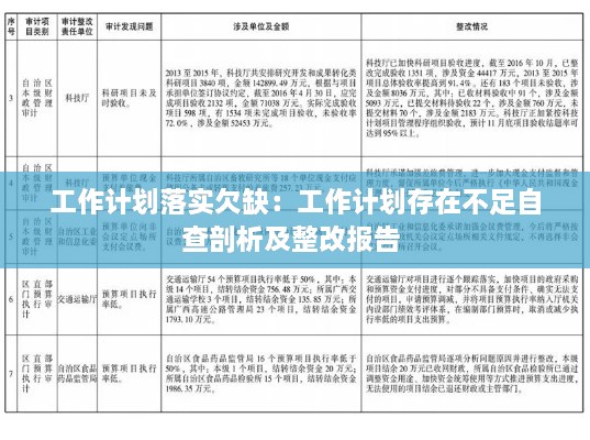 工作計劃落實(shí)欠缺：工作計劃存在不足自查剖析及整改報告 