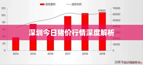 深圳今日豬價(jià)行情深度解析