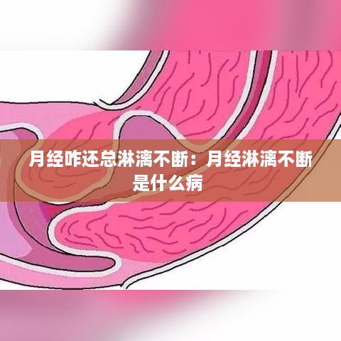 月經(jīng)咋還總淋漓不斷：月經(jīng)淋漓不斷是什么病 