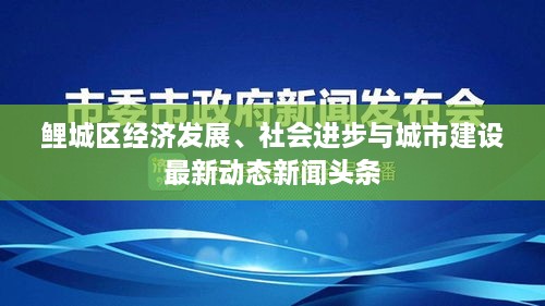 鯉城區(qū)經(jīng)濟(jì)發(fā)展、社會進(jìn)步與城市建設(shè)最新動態(tài)新聞頭條