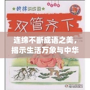 連綿不斷成語之美，揭示生活萬象與中華文化之韻