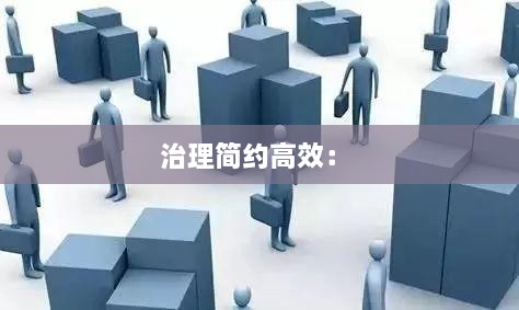 治理簡約高效： 