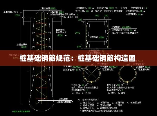 樁基礎鋼筋規(guī)范：樁基礎鋼筋構造圖 