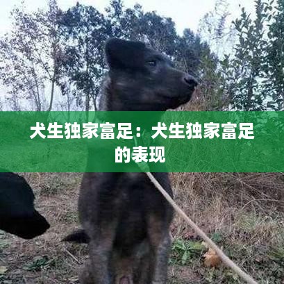 犬生獨(dú)家富足：犬生獨(dú)家富足的表現(xiàn) 