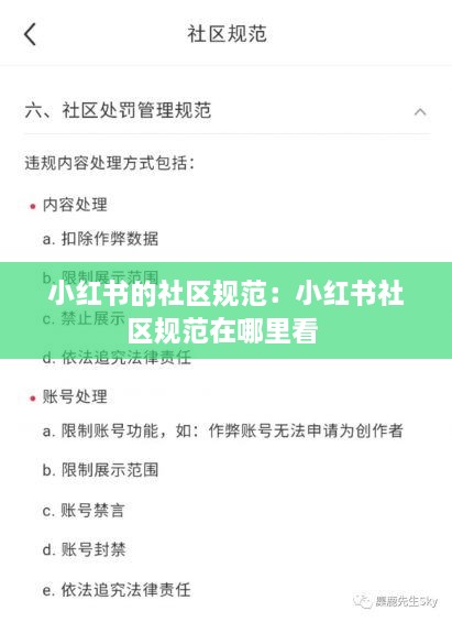 小紅書的社區(qū)規(guī)范：小紅書社區(qū)規(guī)范在哪里看 