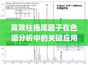 高效柱拖尾因子在色譜分析中的關(guān)鍵應(yīng)用