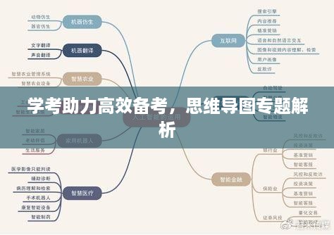 學(xué)考助力高效備考，思維導(dǎo)圖專題解析