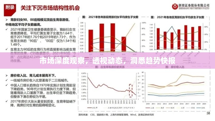 市場(chǎng)深度觀察，透視動(dòng)態(tài)，洞悉趨勢(shì)快報(bào)