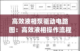 高效液相泵驅(qū)動(dòng)電路圖：高效液相操作流程圖 