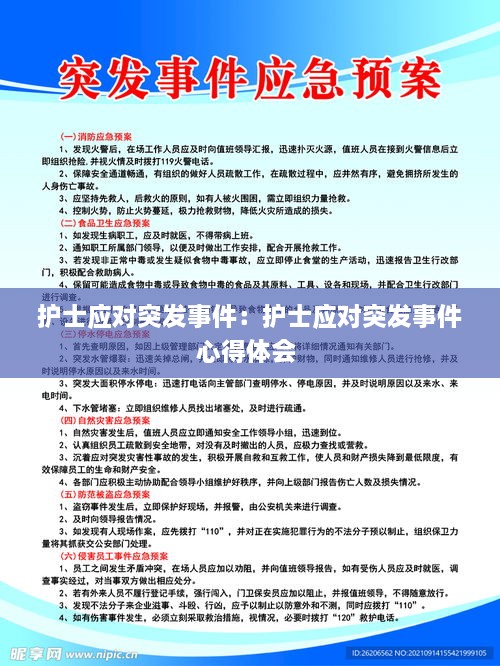 護士應對突發(fā)事件：護士應對突發(fā)事件心得體會 