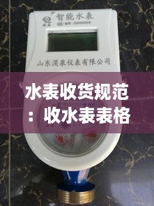 水表收貨規(guī)范：收水表表格 