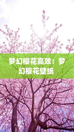 夢(mèng)幻櫻花高效：夢(mèng)幻櫻花壁紙 