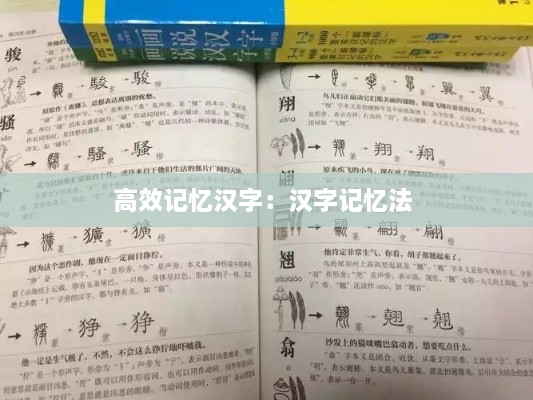 高效記憶漢字：漢字記憶法 