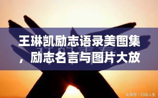 王琳凱勵志語錄美圖集，勵志名言與圖片大放送！