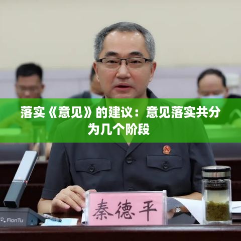 落實《意見》的建議：意見落實共分為幾個階段 