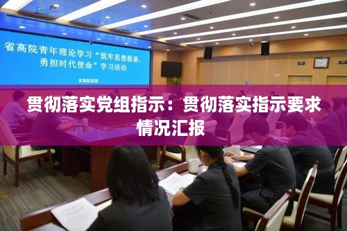 貫徹落實(shí)黨組指示：貫徹落實(shí)指示要求情況匯報(bào) 