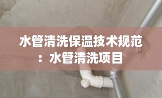 水管清洗保溫技術(shù)規(guī)范：水管清洗項目 