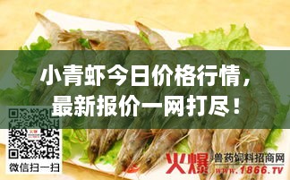 小青蝦今日價(jià)格行情，最新報(bào)價(jià)一網(wǎng)打盡！