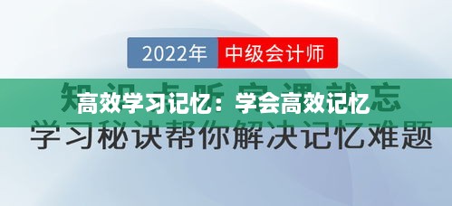 高效學(xué)習(xí)記憶：學(xué)會(huì)高效記憶 