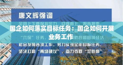 國(guó)企如何落實(shí)目標(biāo)任務(wù)：國(guó)企如何開(kāi)展業(yè)務(wù)工作 