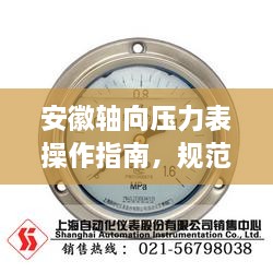 安徽軸向壓力表操作指南，規(guī)范使用，確保安全準(zhǔn)確