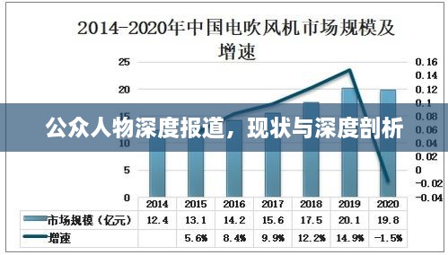 公眾人物深度報道，現(xiàn)狀與深度剖析