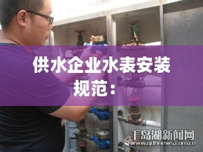 供水企業(yè)水表安裝規(guī)范： 